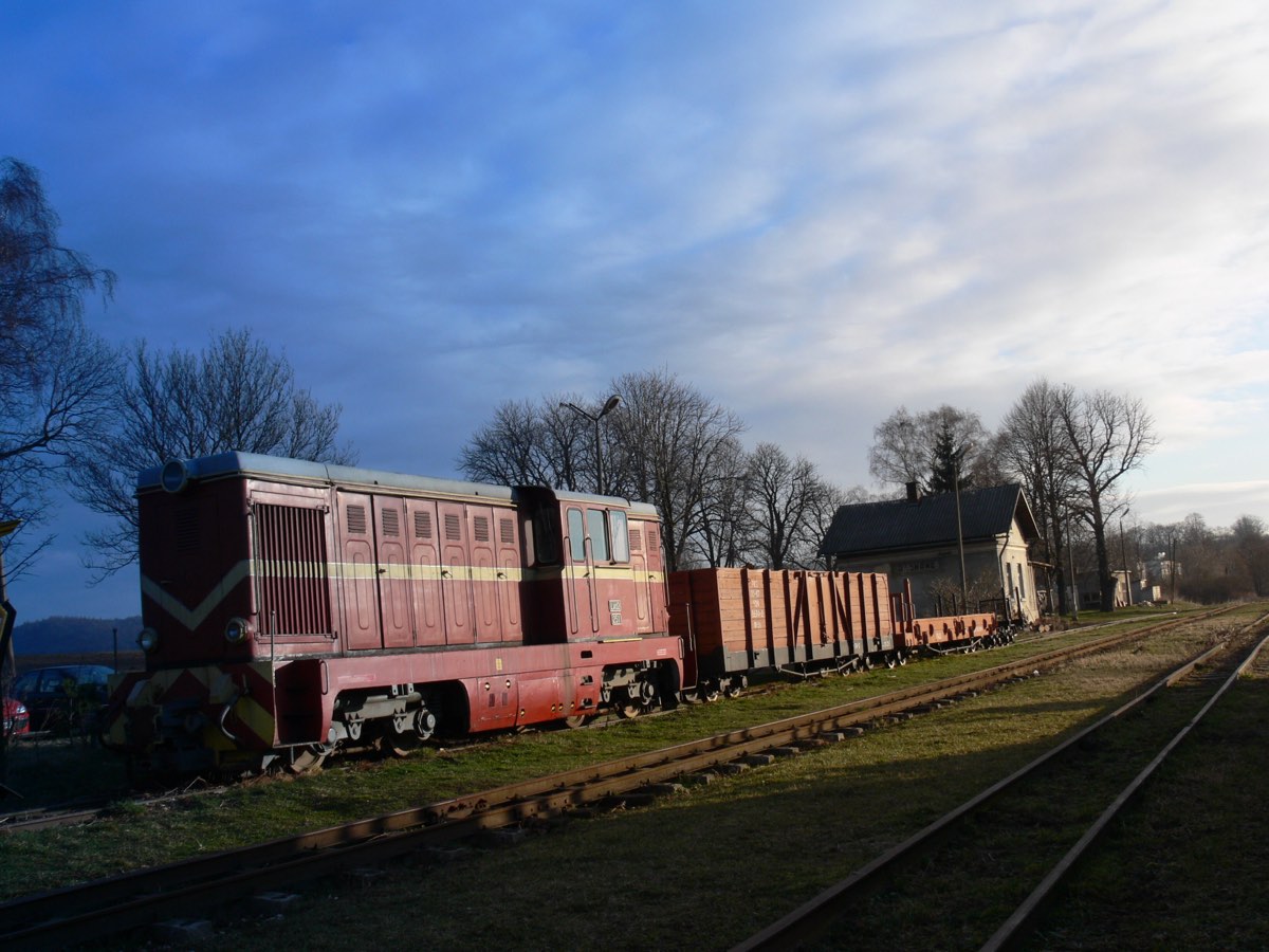 Kolejka wąskotorowa na stacji / Narrow-gauge train at the station